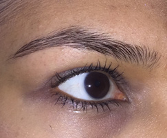 Permanent Micorblading Eyebrows by Artistry Of Permanent Makeup of Orange County